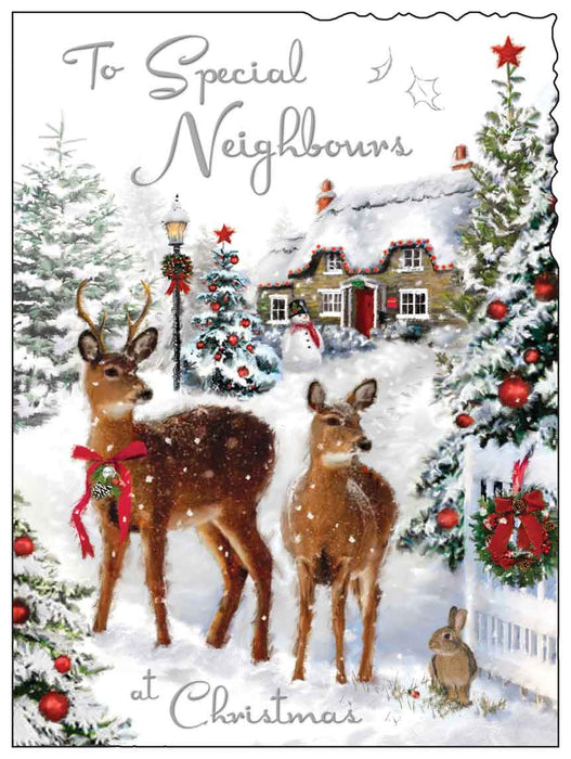 Jonny Javelin 'Special Neighbours' Christmas Card