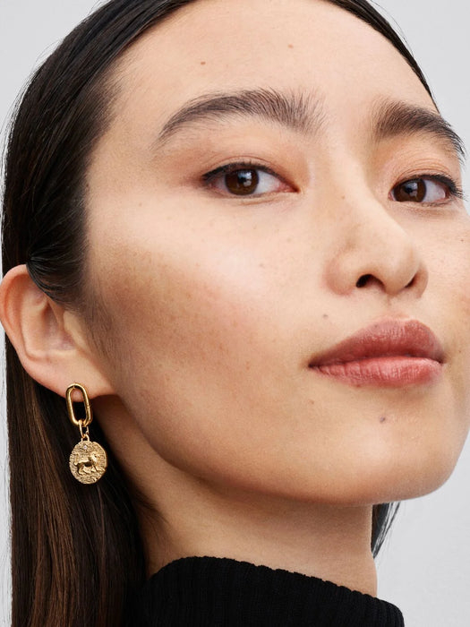 Pandora Lion Medallion Charm