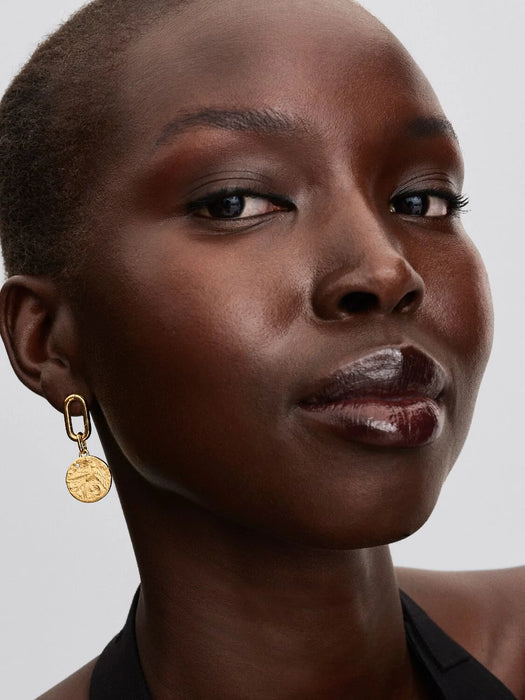 Pandora Swallow Medallion Charm