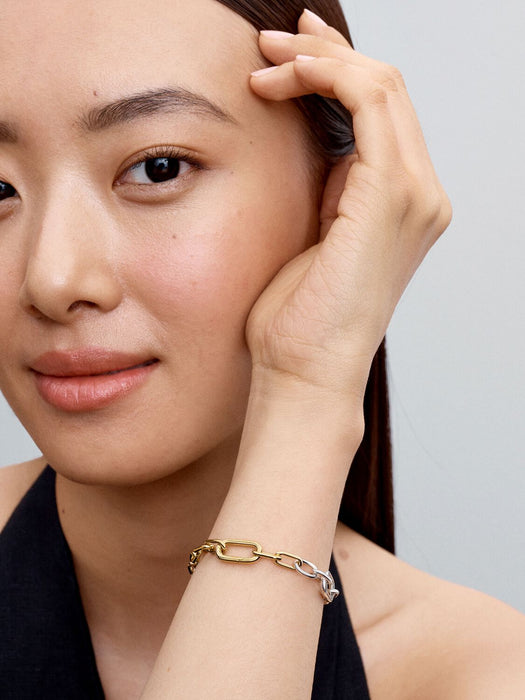 Pandora Link Chain Gold & Silver Bracelet