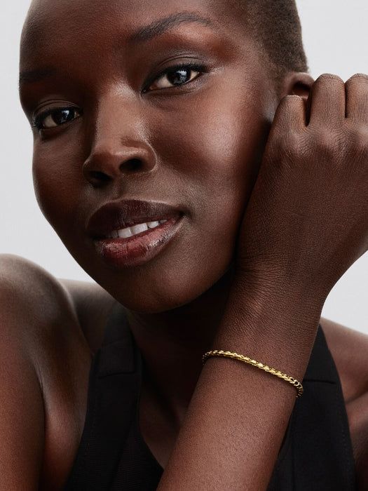 Pandora Round Clasp Wing Chain Gold Bracelet