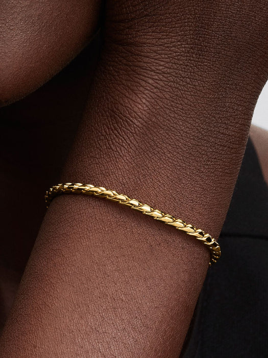 Pandora Round Clasp Wing Chain Gold Bracelet