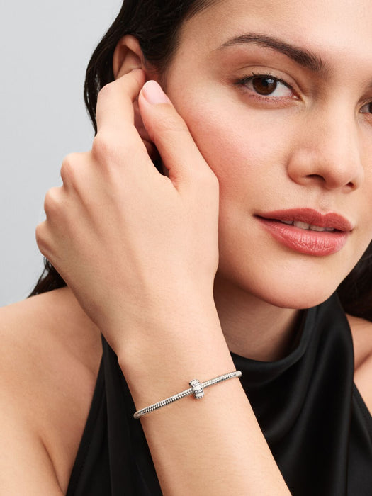 Pandora Stones & Enamel Clip Charm Sterling silver