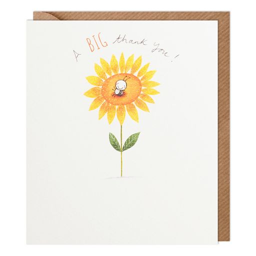 Paperlink 'A Big Thank You' Thank You Card