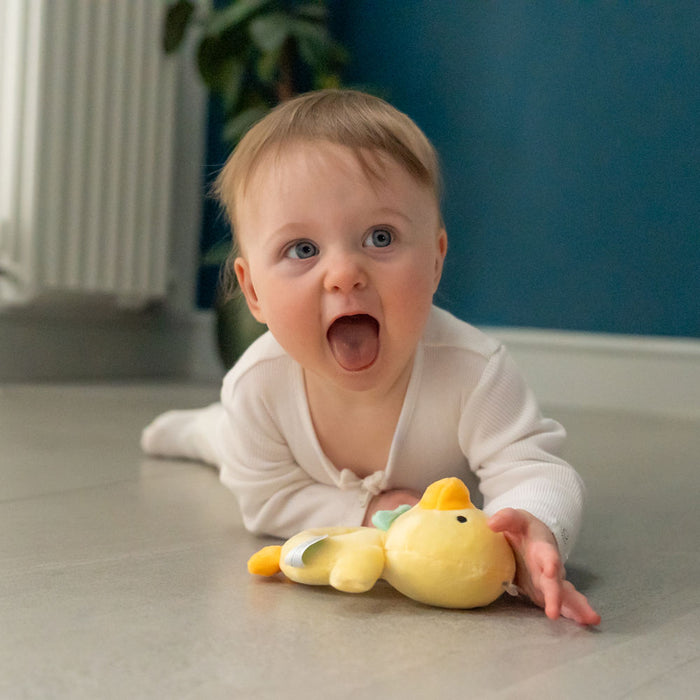 Ziggle Duck Plush Baby Rattle
