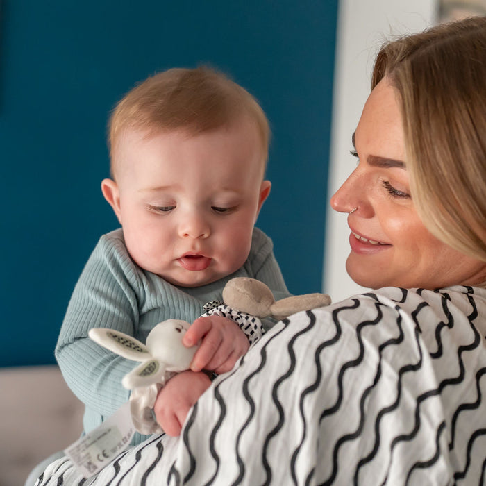 Ziggle Plush Wrist Rattles