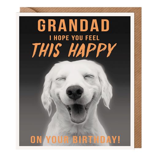Paperlink 'Grandad I Hope You Feel Happy' Birthday Card