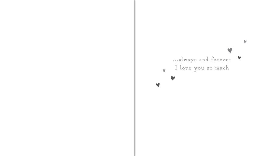 Paperlink 'Wife Side by Side' Anniversary Card