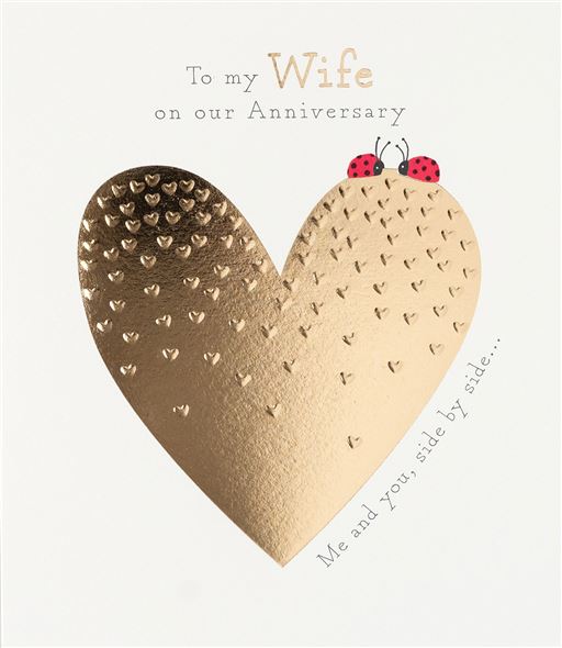 Paperlink 'Wife Side by Side' Anniversary Card