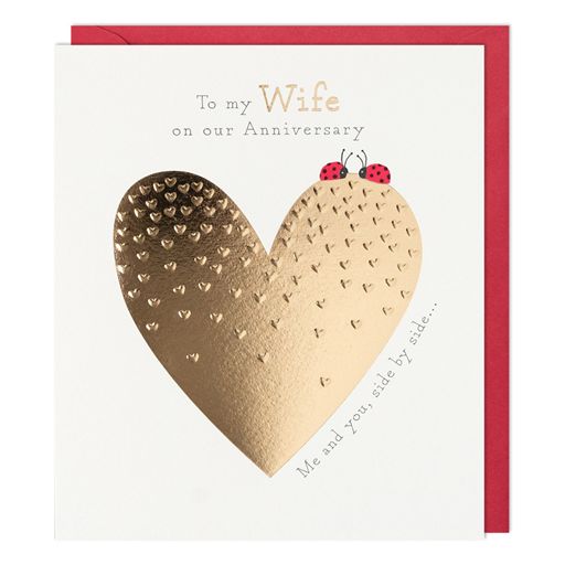 Paperlink 'Wife Side by Side' Anniversary Card