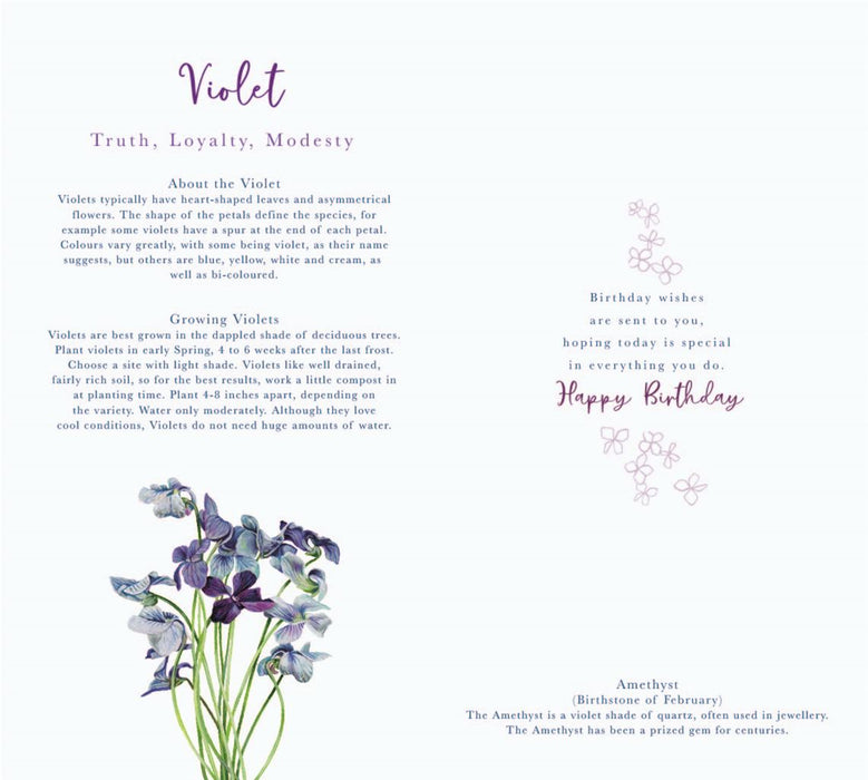 ICG 'On Your February Birthday' Birthday Card