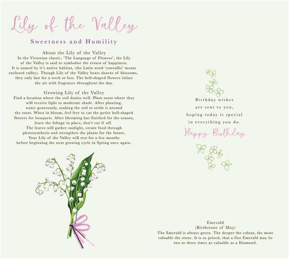 ICG 'On Your May Birthday' Birthday Card