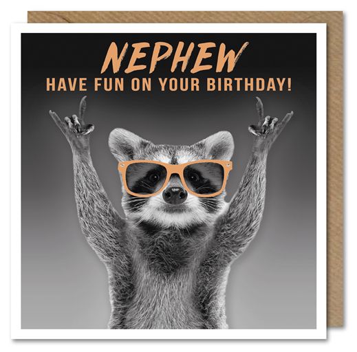 Paper Link 'Nephew Have Fun On Your Birthday' Birthday Card