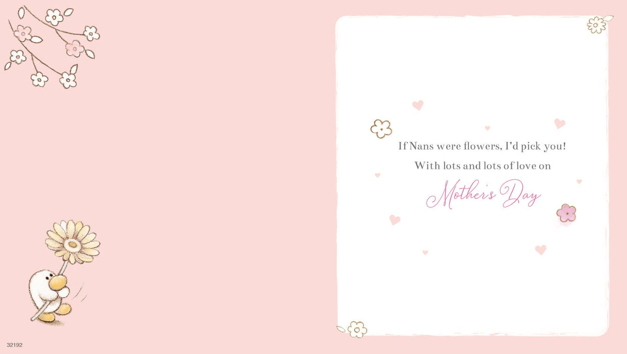 ICG 'For A Special Nan' Mother's Day Card