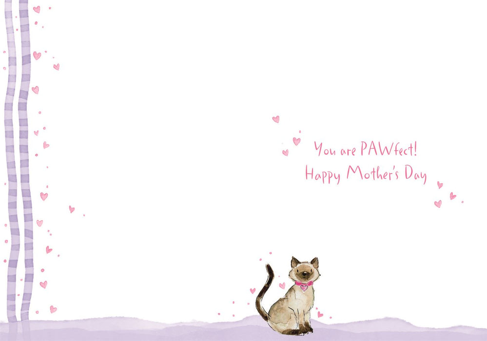 ICG 'To The Best Cat Mum' Mother's Day Card