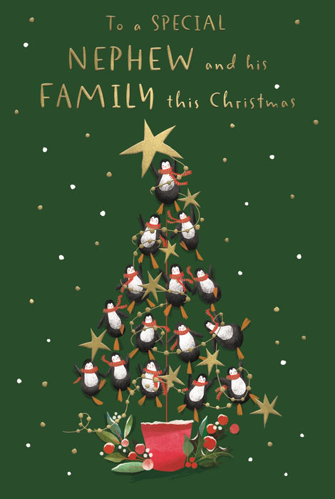 ICG 'To A Special Nephew & His Family' Christmas Card