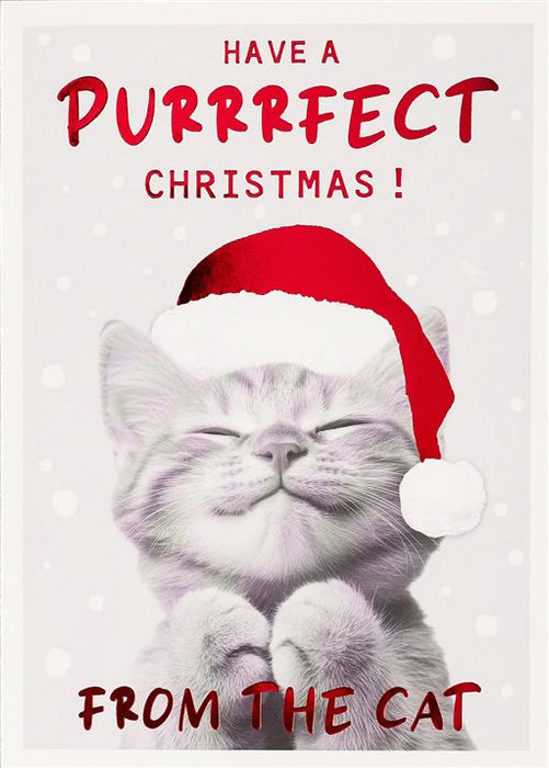 Paperlink 'Purrrfect Christmas From The Cat' Christmas Card