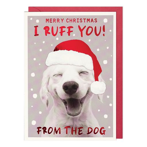 Paperlink 'Merry Christmas I Ruff You From The Dog' Christmas Card