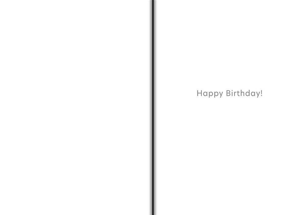 Paperlink 'Birthday Plans' Birthday Card