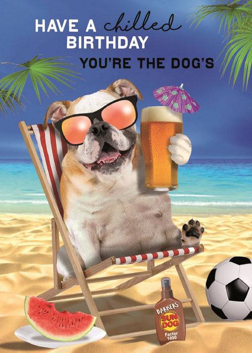Dog in sunglasses with a beer on a beach, text 'Have a chilled birthday, you're the dog's'