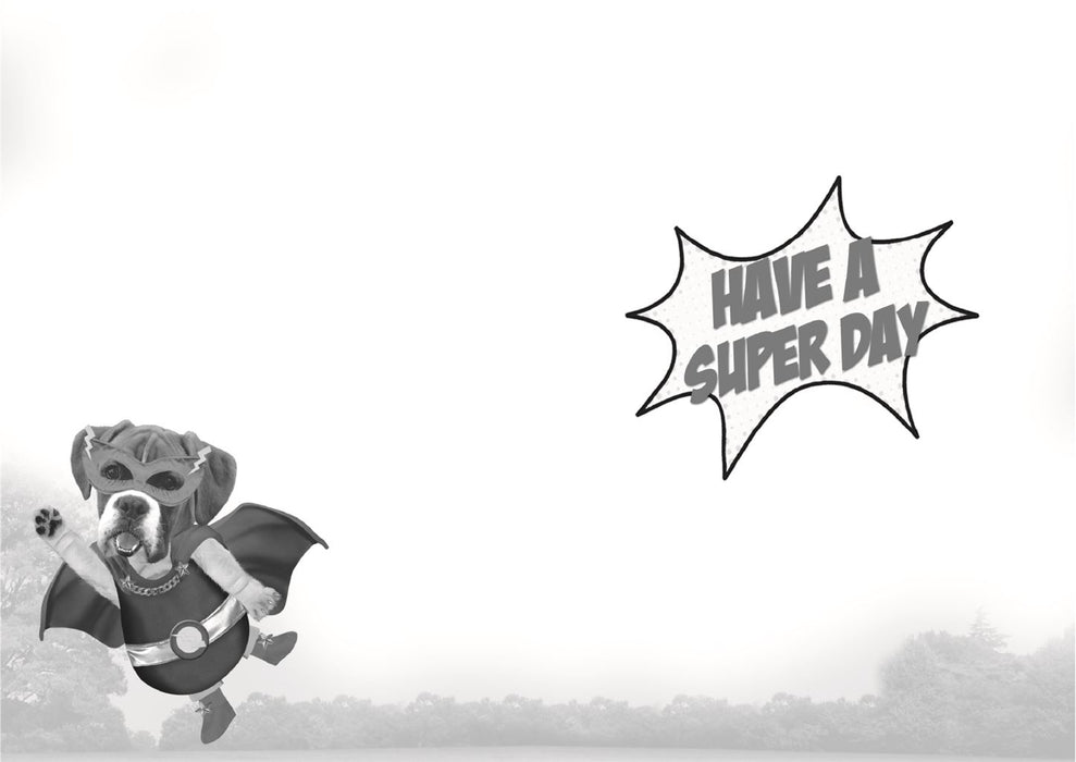 ICG 'Have A Super Birthday' Birthday Card