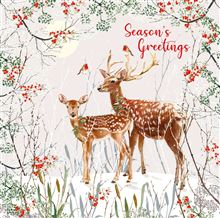 Nigel Quiney 'Reindeer & Twigs' Box Of 6 Christmas Cards