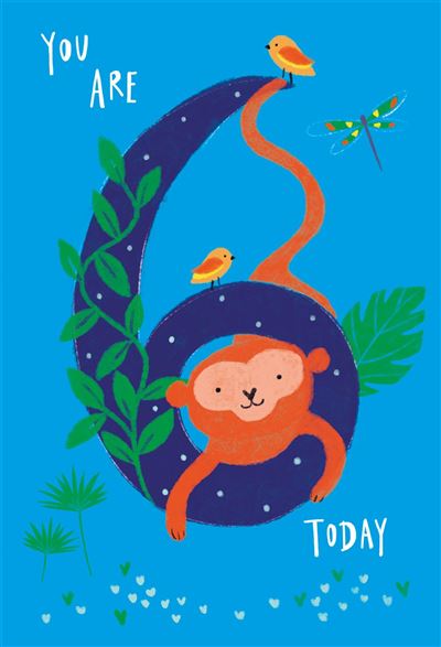 Nigel Quiney 'You Are 6 Today' Birthday Card