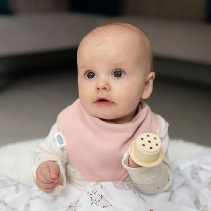 Ziggle Neopolitan Pops Bib Set