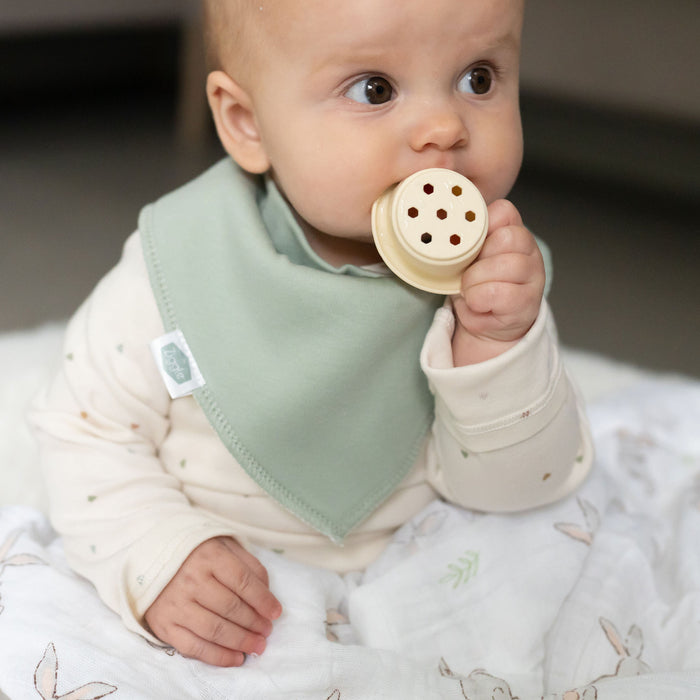Ziggle Neopolitan Pops Bib Set
