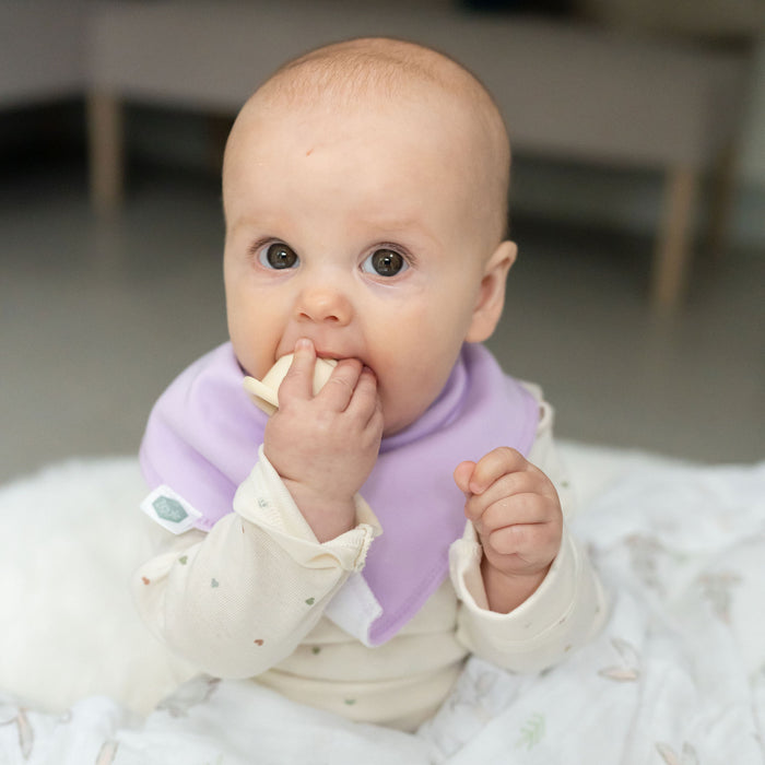 Ziggle Orchid Petals Bib Set