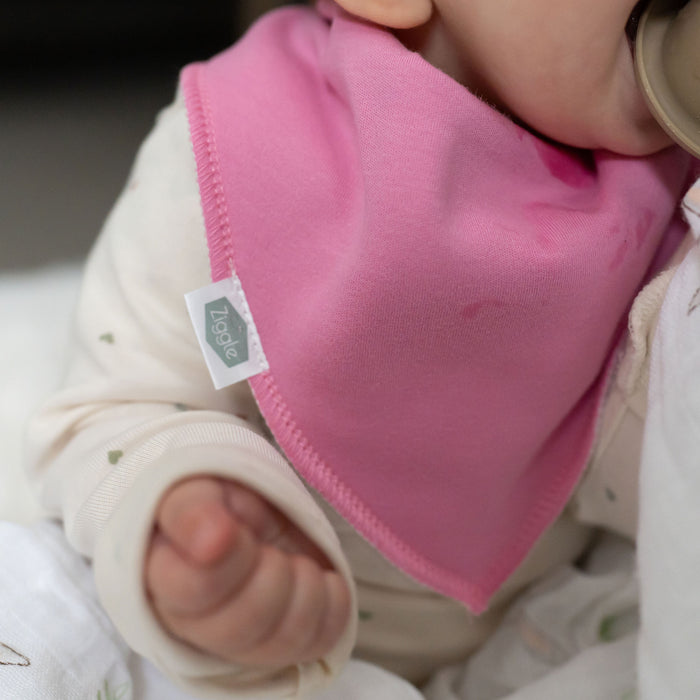 Ziggle Orchid Petals Bib Set