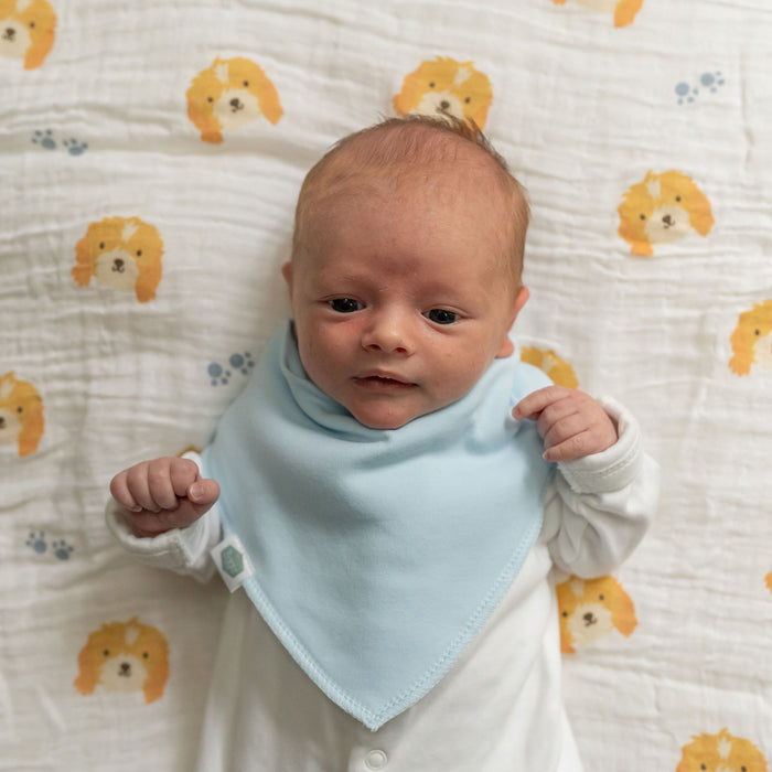 Ziggle Driftwood Waves Bib Set