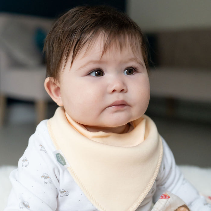 Ziggle Neopolitan Pops Bib Set