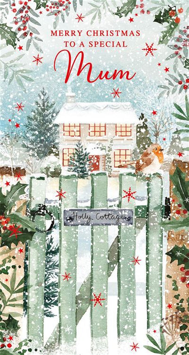 Nigel Quiney 'Merry Christmas To A Special Mum' Christmas Card
