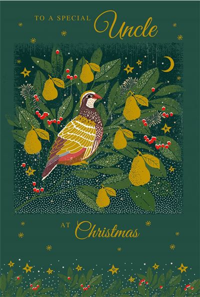 Nigel Quiney 'To A Very Special Uncle' Christmas Card