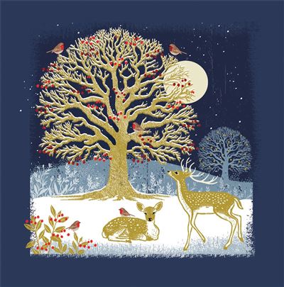 Nigel Quiney 'Golden Oak Deer' Christmas Card Boxed Set