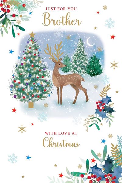 Nigel Quiney 'Just For You Brother' Christmas Card