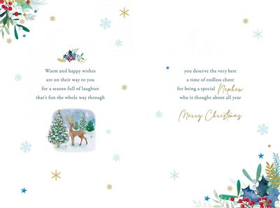 Nigel Quiney 'For A Wonderful Nephew' Christmas Card