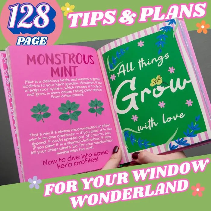 Boxer Windowbox Wonderland Book
