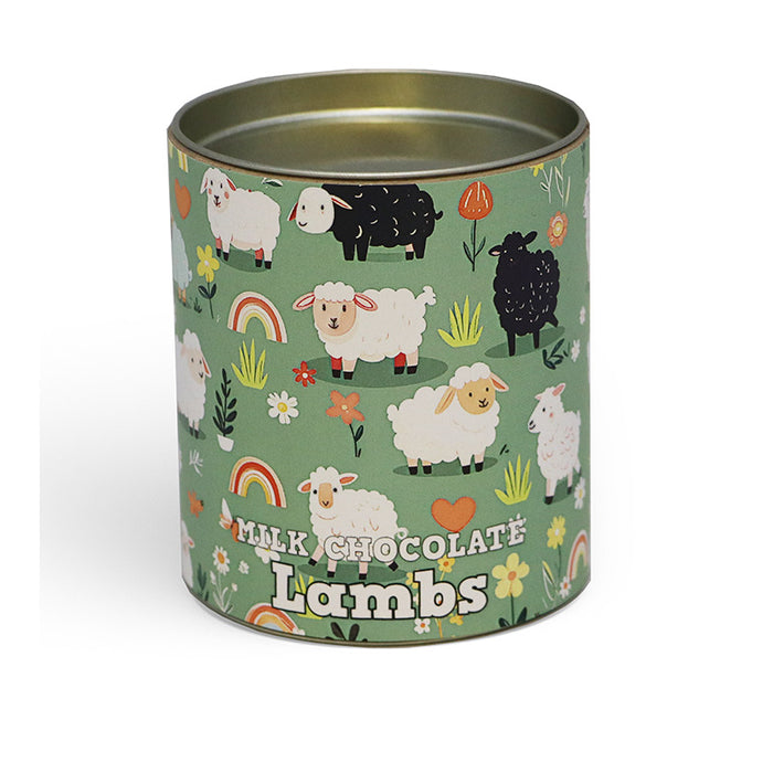 Welsh Chocolate Drum of Milk Chocolate Lambs