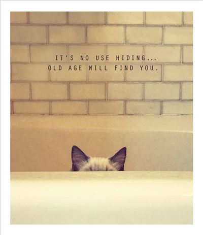 UKG 'It's No Use Hiding Old Age Will Find You' Birthday Card