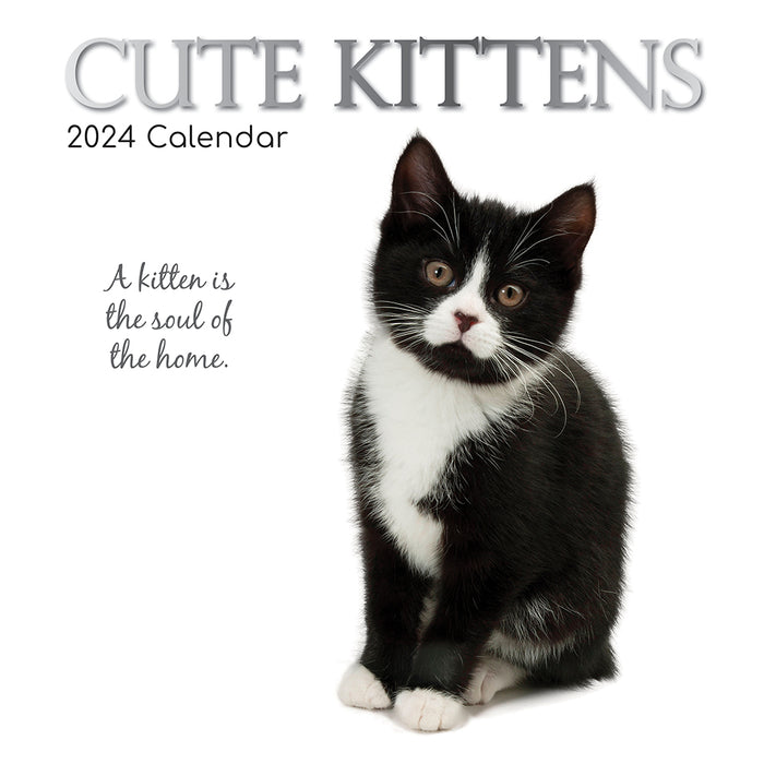 The Gifted Stationary Company 2024 Square Wall Calendar - Cute Kittens