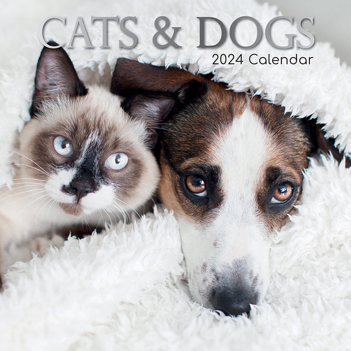 The Gifted Stationary Company 2024 Square Wall Calendar - Cats & Dogs