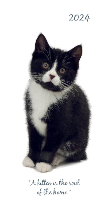The Gifted Stationary Company 2024 Pocket Diary - Cute Kittens