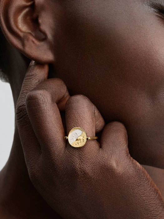 Pegasus Reversible Medallion Ring 14k Gold Plating