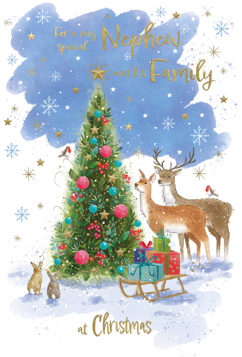 ICG For A Very Special Nephew and his Family Christmas Card