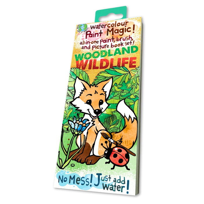 House Of Marbles Paint Magic - Woodland Wildlife