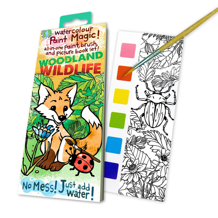 House Of Marbles Paint Magic - Woodland Wildlife