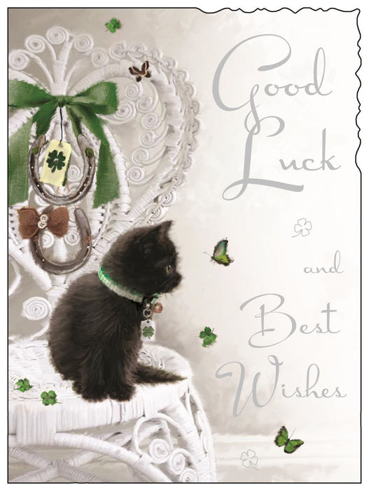 Jonny Javelin 'Good Luck' Good Luck Card