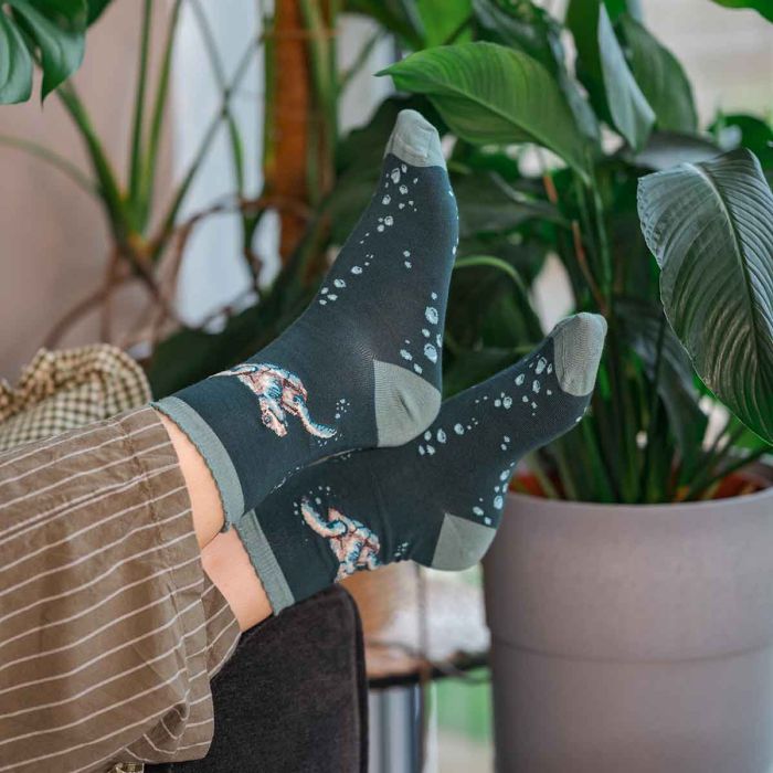 Wrendale Designs 'Swimming School' Turtle Socks